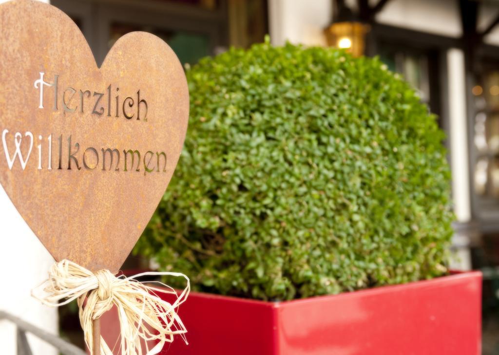 Ringhotel Boemers Mosel Landhotel アルフ エクステリア 写真